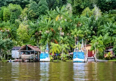 COVID-19, SARS-CoV-2, coronavirus, pandemic, saliva, testing, field testing, mass screening, methods, nasopharyngeal swab, techniques, 